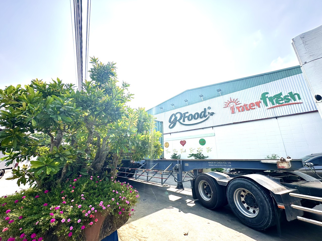 CONT HÀNG THÁNG 3 MANG CHẤT LƯỢNG CỦA GREEN FOOD RA BIỂN LỚN THẾ GIỚI